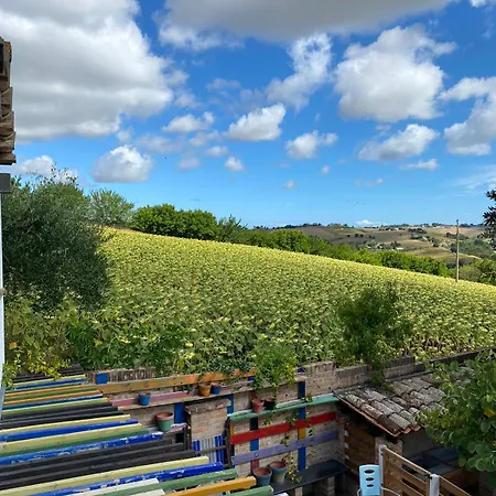 Country house Ca Barbagianni *