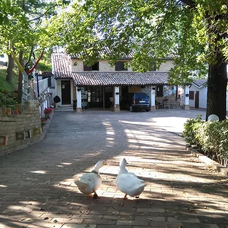 Country house Ca Barbagianni Senigallia