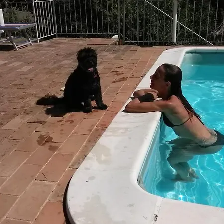 Ca Barbagianni Senigallia